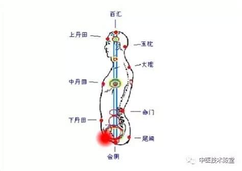 玄关穴|二十四、 玄关集释